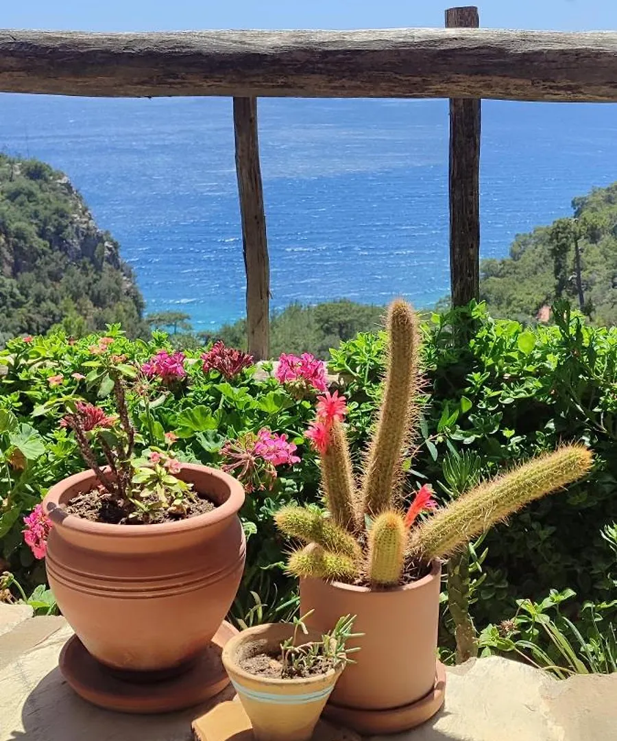 Kropka Home Akyaka Mugla 0*,  Turkey